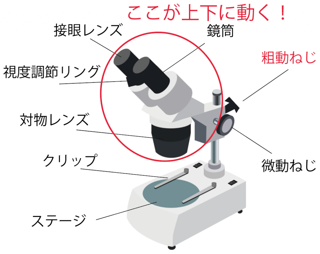 双眼実体顕微鏡　名称