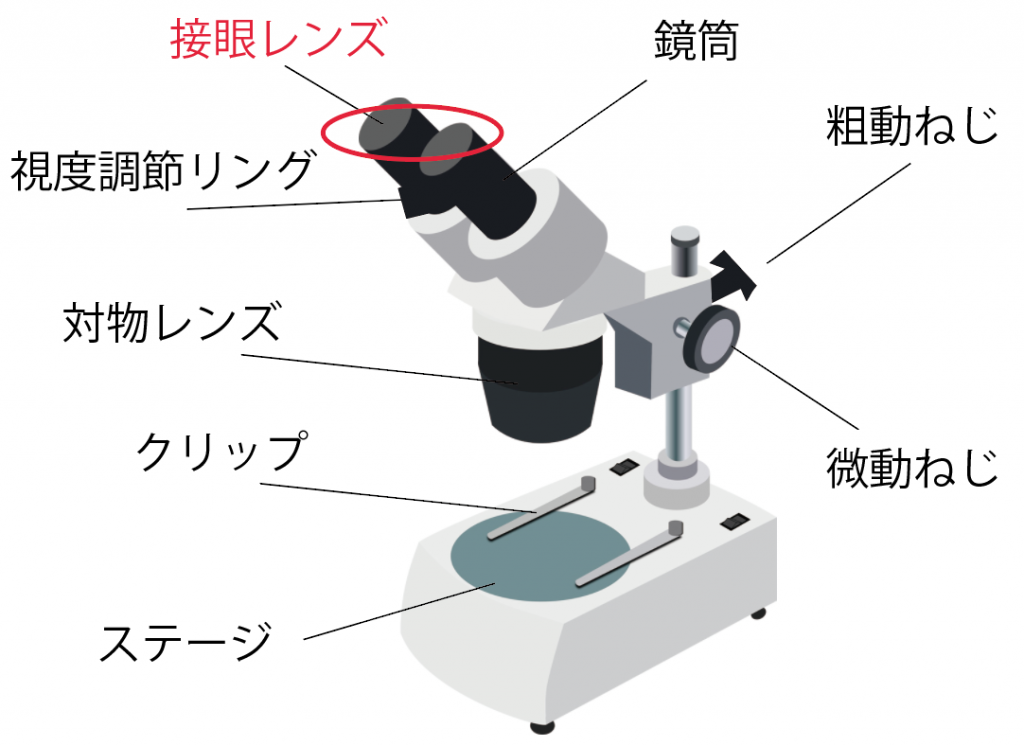 SWIFT 双眼実体顕微鏡 立体顕微鏡 デジタル接眼レンズ 金属製 両眼