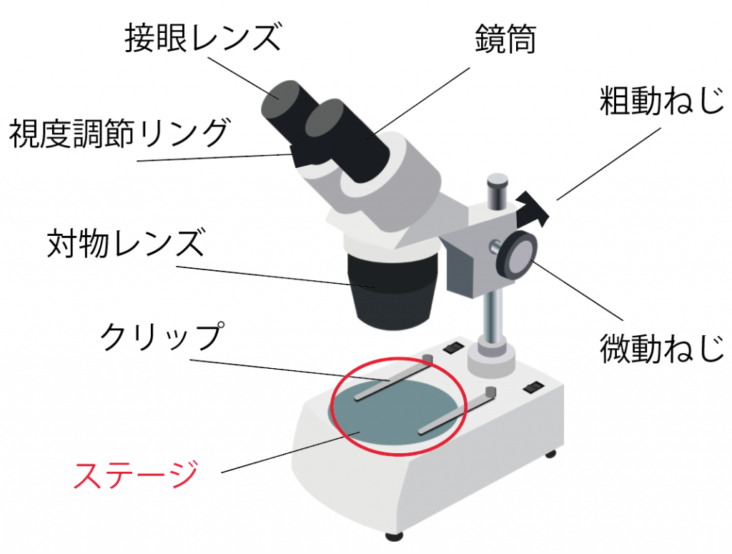 テスト前に覚えたい 双眼実体顕微鏡の8つの名称 Qikeru 学びを楽しくわかりやすく