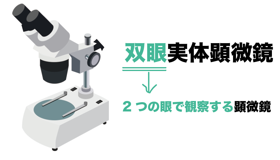 双眼実体顕微鏡　使い方